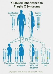 Fragile X Syndrome: Causes, Symptoms, and Treatment of the Most Common ...